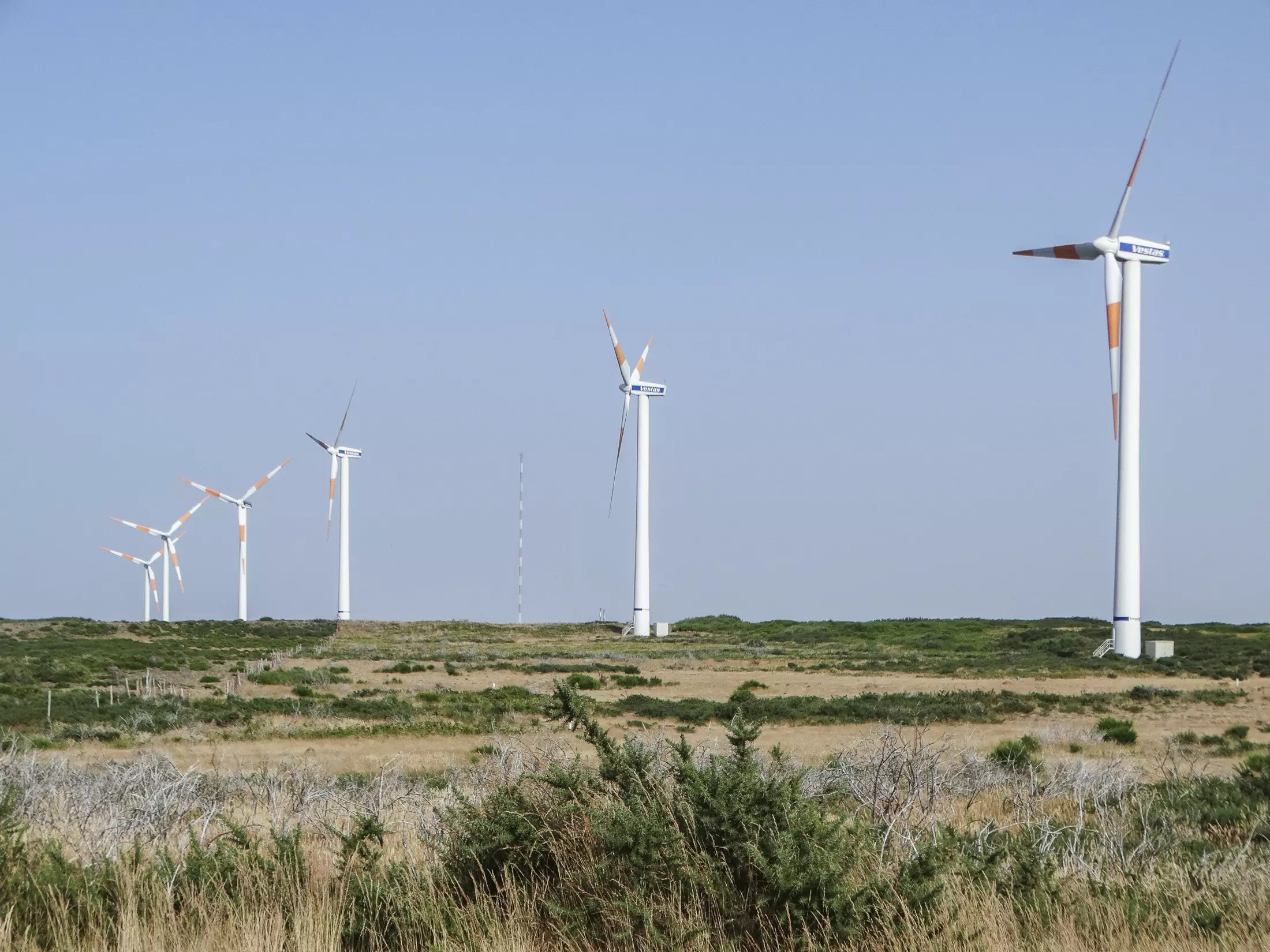 Wind farm on an open field